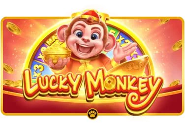 Trải nghiệm đặt cược sportsbook, slot và live casino trên nền tảng tbbb